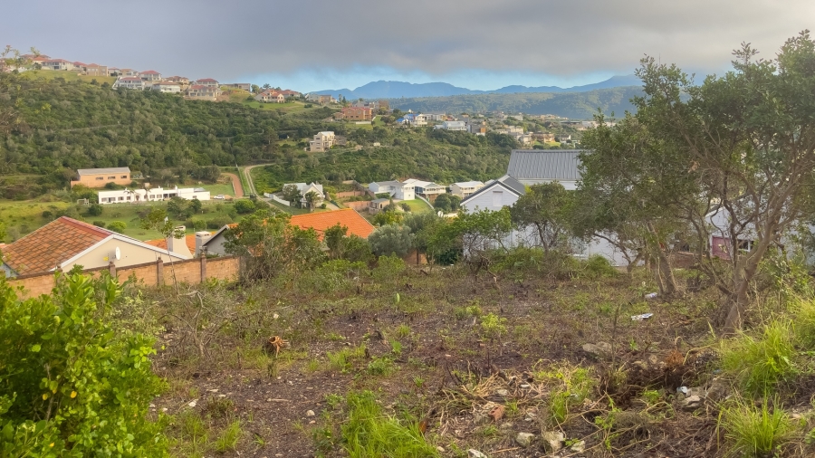 0 Bedroom Property for Sale in Bergsig Western Cape